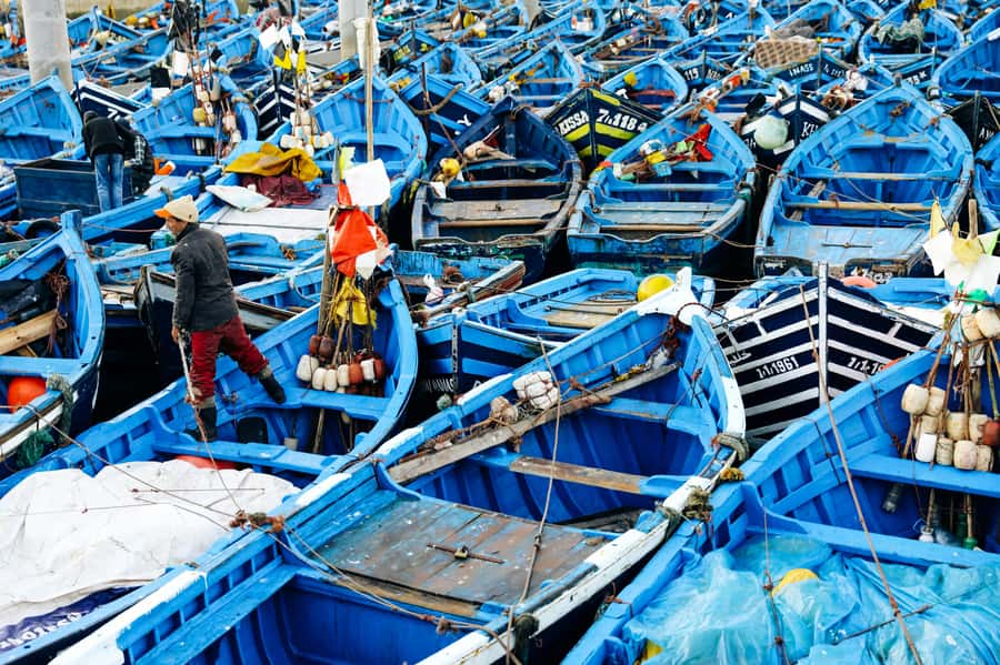 Agadir: Essaouira Guided Day Trip - Skala de la Kasbah Ramparts and the Port, Built for Big Views