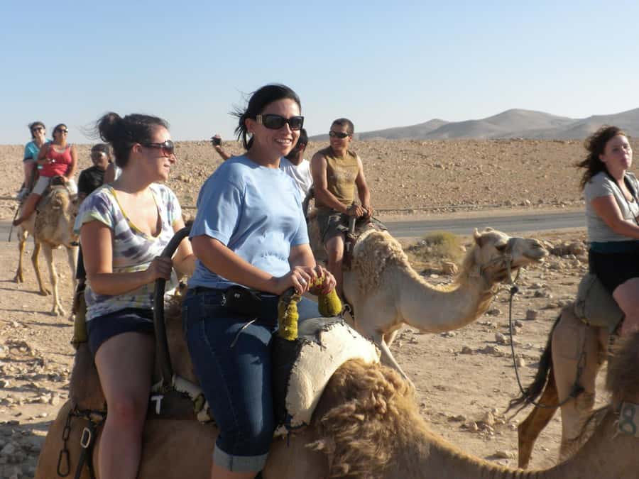 Agadir: Flamingo River Camel Ride with Optional BBQ Dinner - The Souss River Stop: Where Flamingos Enter the Picture