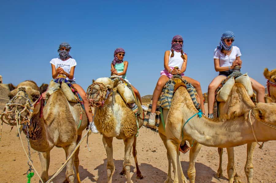 Agadir: Flamingo River Camel Ride with Optional BBQ Dinner - Optional BBQ Dinner: Great When It Lines Up, Tricky When It Does Not