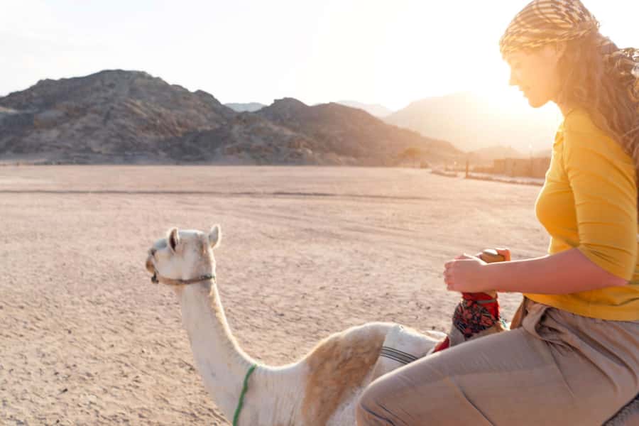 Agadir: Flamingo River Camel Ride with Optional BBQ Dinner - Timing, What to Bring, and What to Wear
