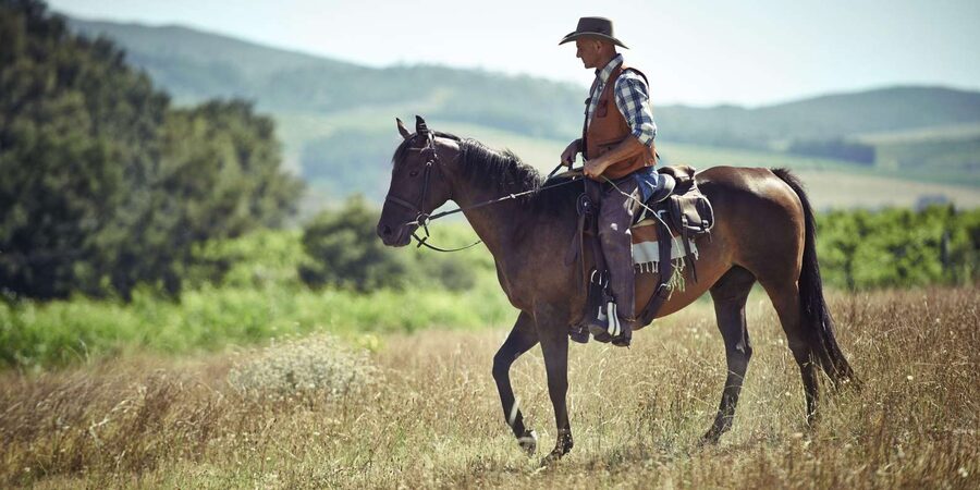 Agadir: Forest and Sand Dunes Guided Horse Riding - Key things to know before you go