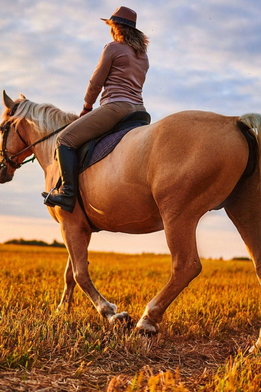 Agadir: Forest and Sand Dunes Guided Horse Riding - Logistics that matter on the day