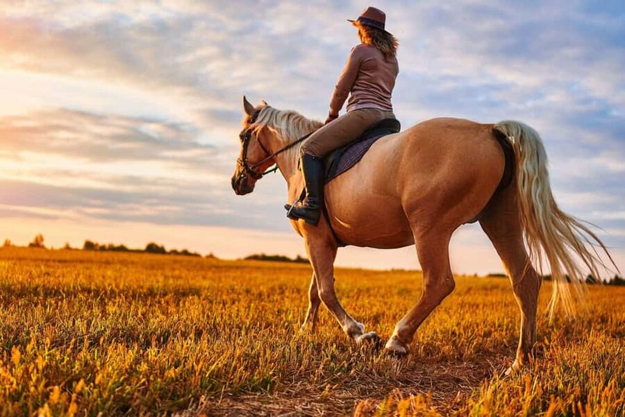 Agadir: Forest and Sand Dunes Guided Horse Riding - Getting to the stables from your Agadir hotel
