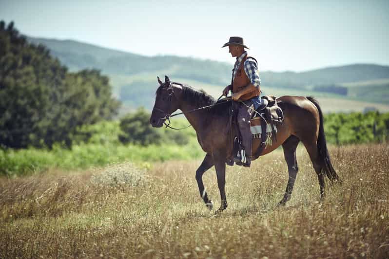 Agadir: Forest and Sand Dunes Guided Horse Riding - Eucalyptus forest riding, where the air and the pace change