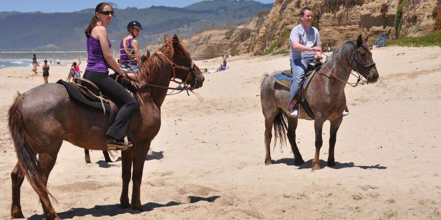 Agadir: Forest and Sand Dunes Guided Horse Riding - Beach riding and sand dunes with wide panoramic views