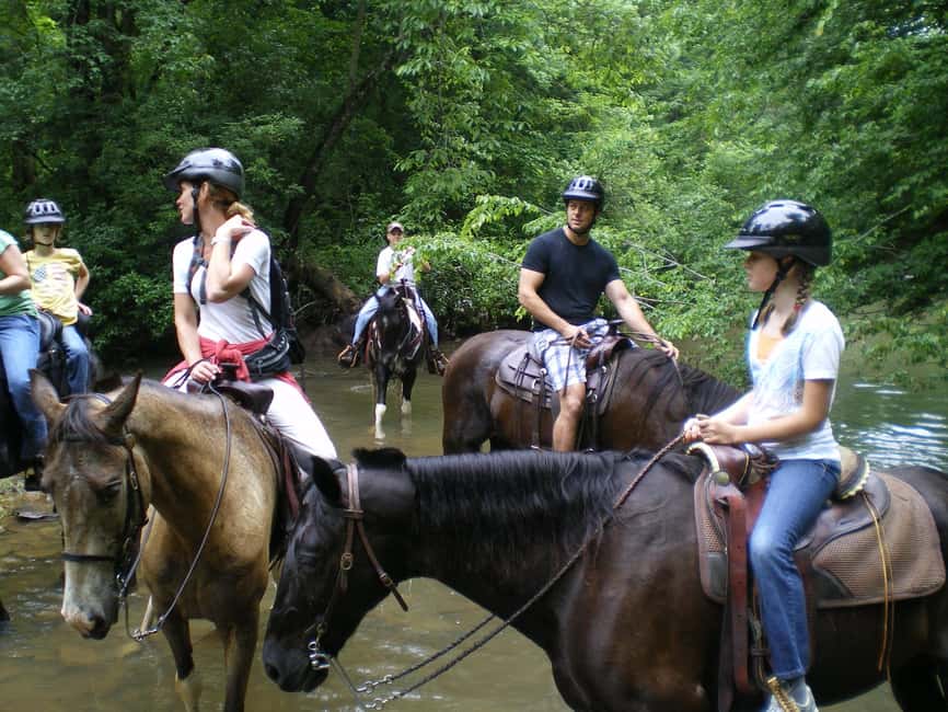 Agadir: Forest and Sand Dunes Guided Horse Riding - Tea after horseback, a surprisingly good ending