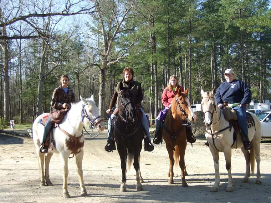 Agadir: Forest and Sand Dunes Guided Horse Riding - Price and value: what $23 really buys