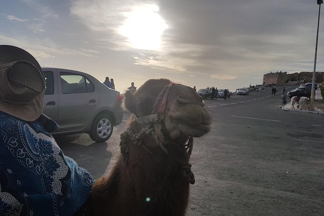 Agadir Guided City Tour Including Hotel pickup - Why This 3-Hour Agadir Tour Feels Easy From the Start