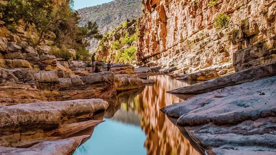 Agadir: Guided Excursion to Paradise Valley - Key Things I’d Not Miss Here