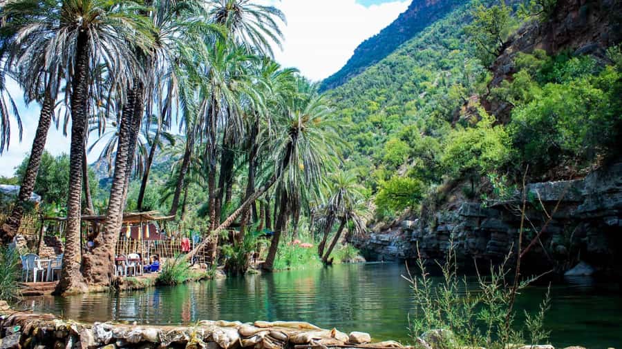 Agadir: Guided Excursion to Paradise Valley - From Agadir to Imouzzer Ida Outanane: The Easy Start