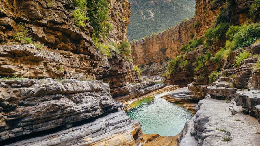 Agadir: Guided Excursion to Paradise Valley - Trekking and Taking Breaks: The Rhythm of a 6-Hour Nature Day