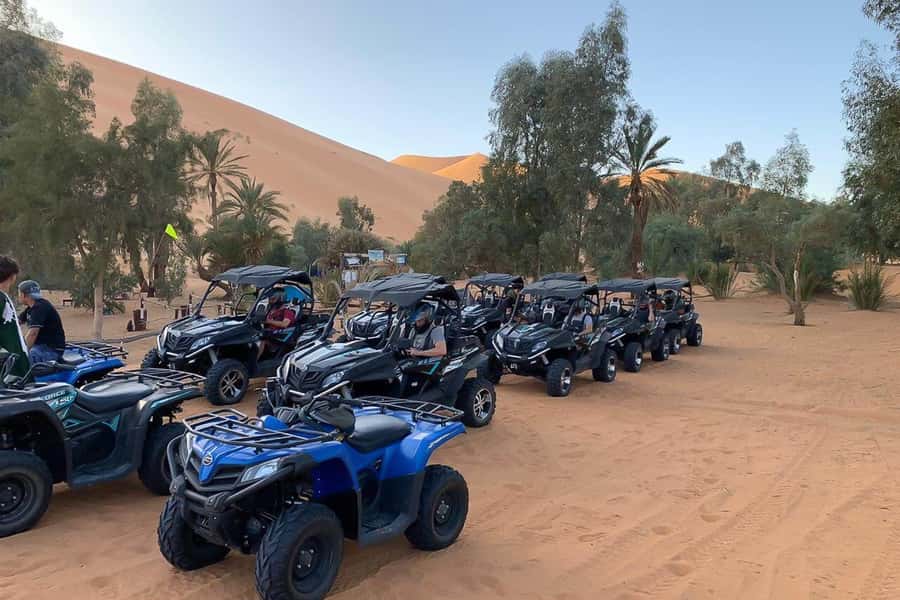 Agadir: Half-Day Desert Dunes Buggy Safari - Your own buggy ride: sand dunes plus forest scenery
