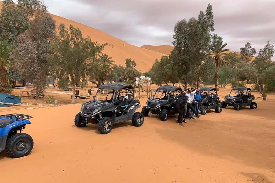 Agadir: Half-Day Desert Dunes Buggy Safari - Price and value: is $56 per person a fair deal?