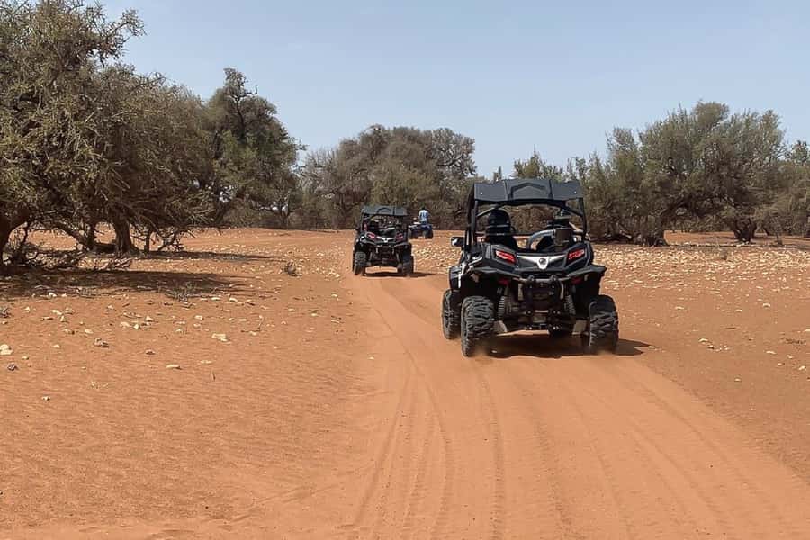 Agadir: Half-Day Desert Dunes Buggy Safari - Who this buggy safari suits best (and who should skip it)