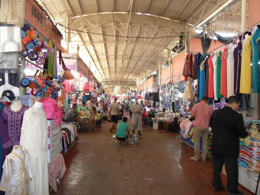 Agadir: Half-Day Guided Tour - Key highlights to look forward to