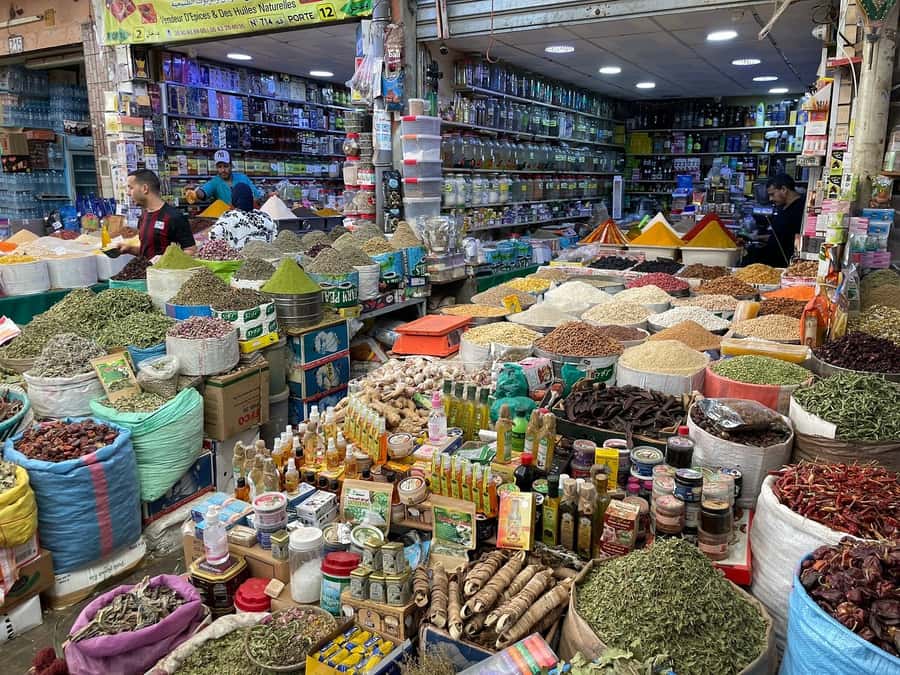 Agadir: Half-Day Guided Tour - Comfort, timing, and how to make the most of each stop