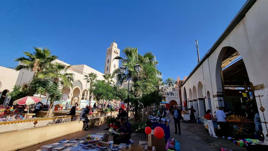 Agadir: Half-Day Guided Tour - Mohamed V Mosque: landmark photos and a calm reset