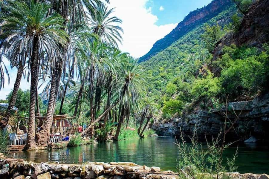 Agadir :Half day Paradise Valley & Atlas Mountains Tour - What to bring (and what not to): simple rules that save stress