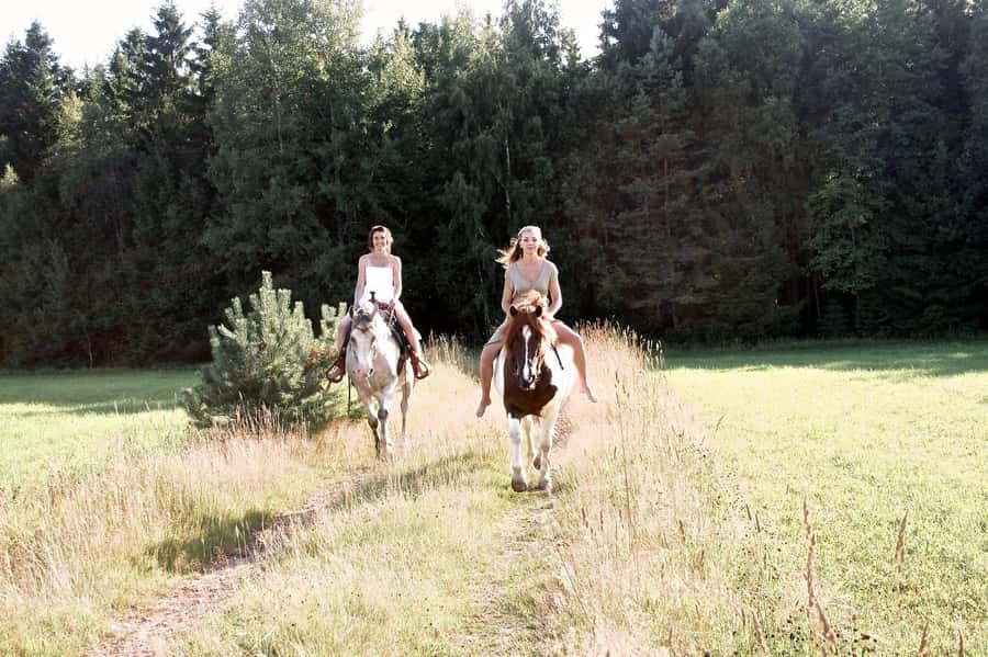 Agadir Horse Riding visite the flamingo river with tea drink - Eucalyptus Forest and Beach: Variety in a Short Ride