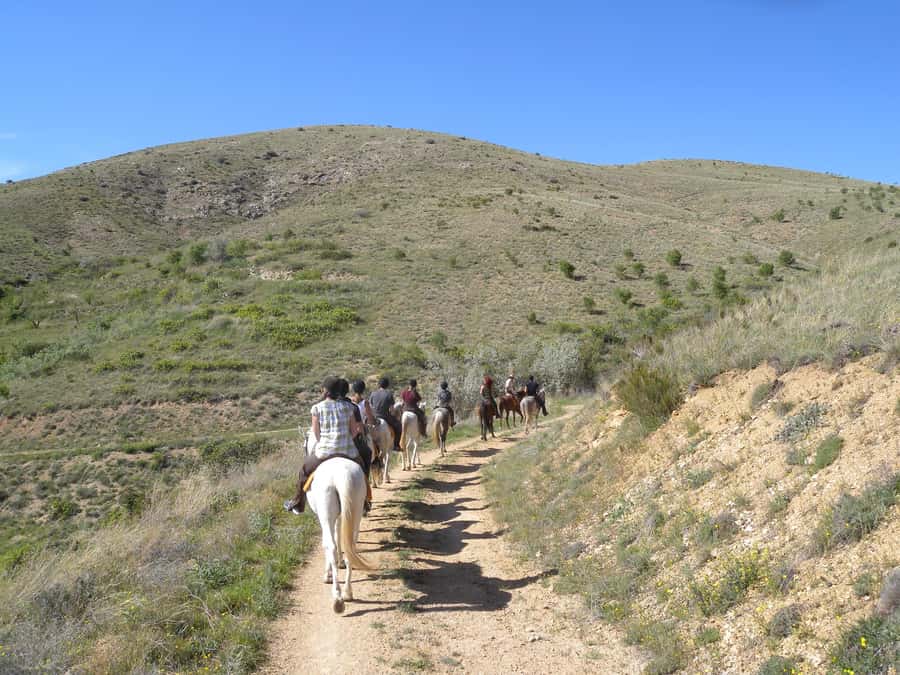 Agadir Horse Riding visite the flamingo river with tea drink - Tea Drink Ending, Souvenirs, and the Whole Point of the Finish