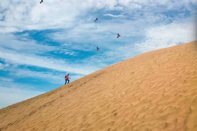 Agadir Jeep Safari Sahara Desert 4x4 Day Tour with Lunch - Youssef Ibn Tachfin Dam: the panoramic finale