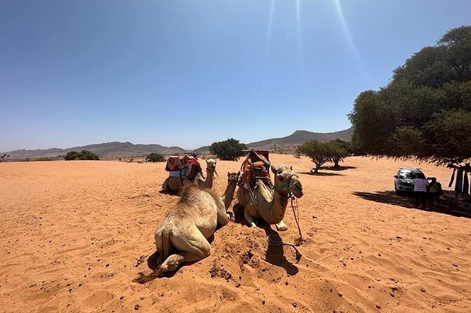 Agadir Jeep Safari Sahara Desert 4x4 Day Tour with Lunch - 4x4 practicality: staying comfortable on a full day