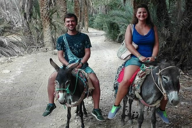 Agadir Morocco: Day Trip To Taroudant & Tiout Oasis with Lunch - Key things to know before you go