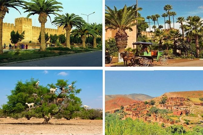 Agadir Morocco: Day Trip To Taroudant & Tiout Oasis with Lunch - Why this Taroudant and Tiout day trip makes sense from Agadir