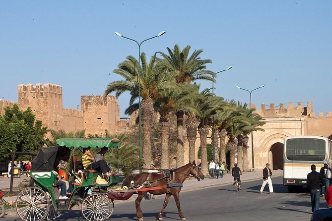Agadir Morocco: Day Trip To Taroudant & Tiout Oasis with Lunch - Who this trip suits best, and who might want a different plan