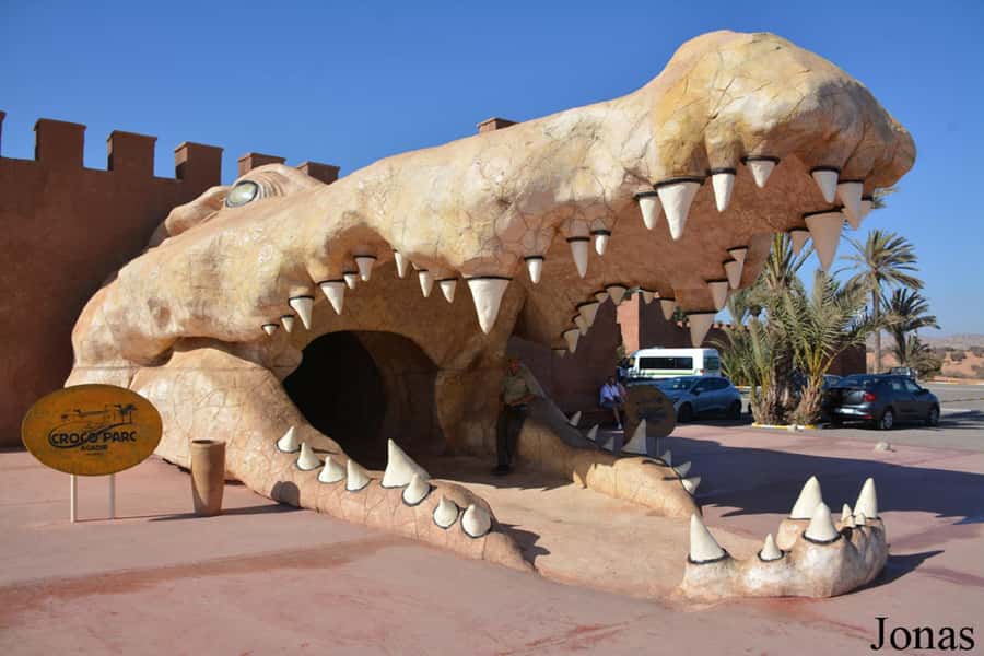 Agadir or Taghazout: Goat on Trees and Crocoparc with Pickup - Goats on argan trees: the morning’s star trick