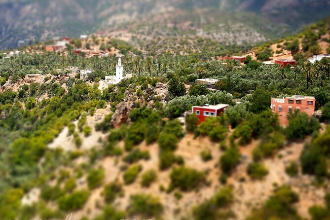 Agadir or Taghazout: Paradise Valley Atlas Mountain Swimming Trip - Price and value: what $18.58 buys you