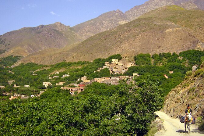 Agadir or Taghazout: Paradise Valley Atlas Mountain Swimming Trip - Paradise Valley: swimming time and what to expect on the ground