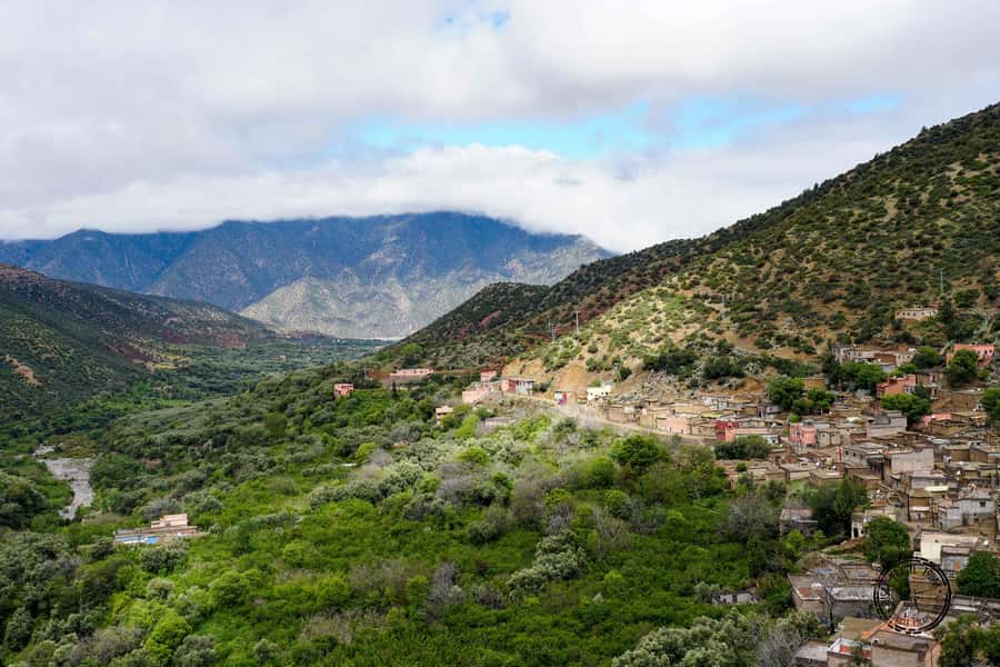 Agadir or Taghazout: Paradise Valley Atlas Mountain Trip - Agadir Or Taghazout Pickup, Then The Honey Road North