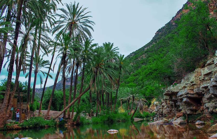 Agadir or Taghazout: Paradise Valley Atlas Mountain Trip - Paradise Valley: The Hike Down To The Pools And The Swim Decision