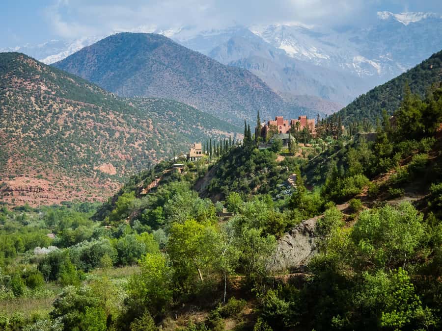 Agadir or Taghazout: Paradise Valley Atlas Mountain Trip - Cooling Down With Argan And Honey Stops: Culture With A Practical Purpose