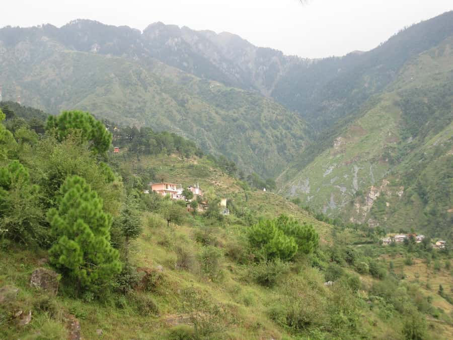 Agadir or Taghazout: Paradise Valley Atlas Mountains - Botanic Garden stop: a calm break that adds context