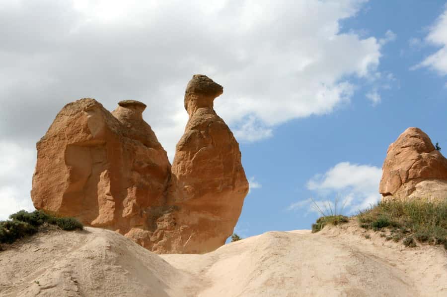 Agadir or Taghazout: Paradise Valley Atlas Mountains - Timing and group flow: making the most of 6 hours
