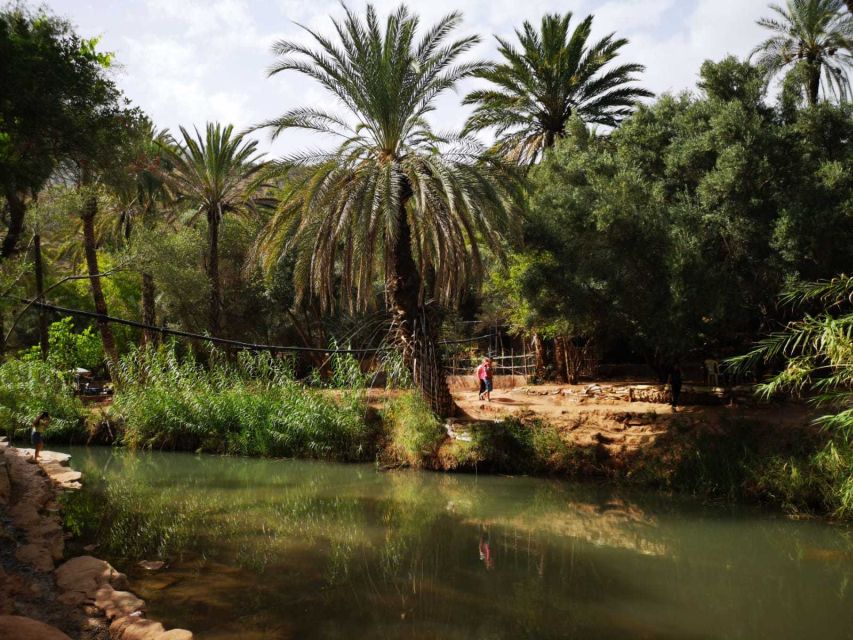 Agadir or Taghazout: Paradise Valley Atlas Mountains Tour - The Best Time to Go, Based on Water Clarity and Crowd Comfort
