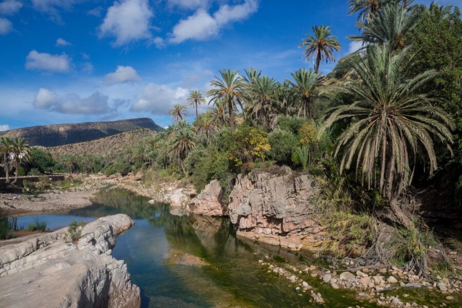 Agadir or Taghazout: Paradise Valley Atlas Mountains Tour - The Botanical Garden and Women’s Argan Oil Stop (What You’ll Actually Do)