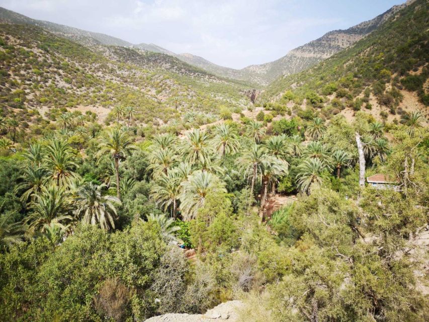 Agadir or Taghazout: Paradise Valley Atlas Mountains Tour - Price and Value at About $21 Per Person