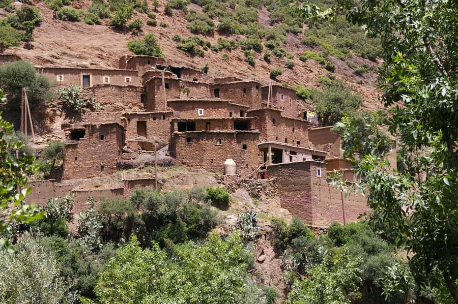Agadir or Taghazout: Paradise Valley & Atlas Mountains Trip - Who should book this Paradise Valley trip, and who should skip it
