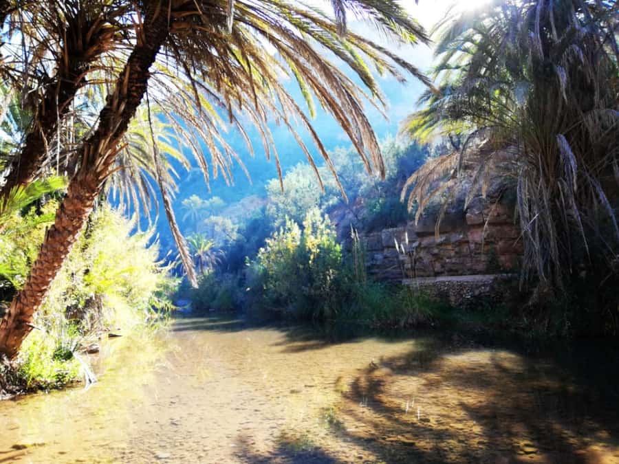 Agadir or Taghazout: Paradise Valley Atlas Mountains Trip - Should You Book the Agadir or Taghazout Paradise Valley Trip?