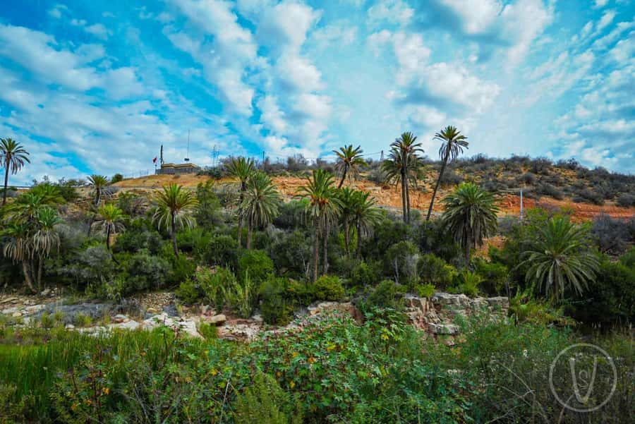 Agadir or Taghazout: Paradise Valley with Lunch & Transfers - Lunch, Drinks, and What to Pack for a Refreshing Return