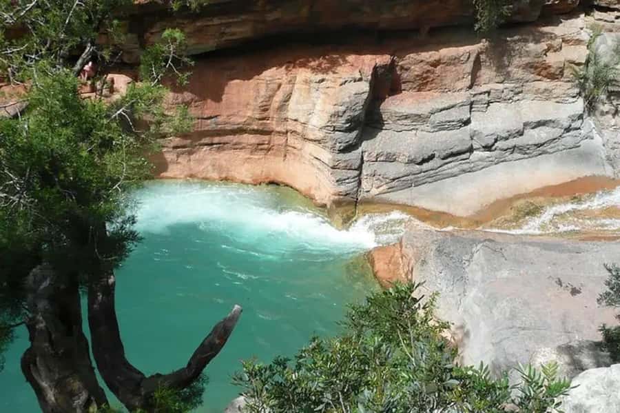 Agadir or Taghazout: Paradise Valley with Lunch & Transfers - The Honey Road Feel: Botanical Garden and Women’s Argan Oil Center