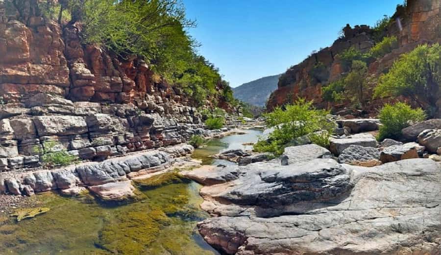 Agadir or Taghazout: Paradise Valley with Lunch & Transfers - Guides and Transfers: The Human Touch That Makes It Feel Easy
