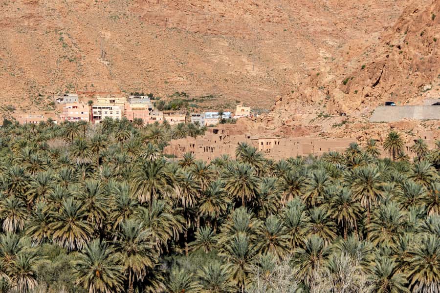 Agadir or Taghazout: Paradise Valley with Lunch & Transfers - The Honey Road of Immouzar and panoramic stops in the Atlas countryside