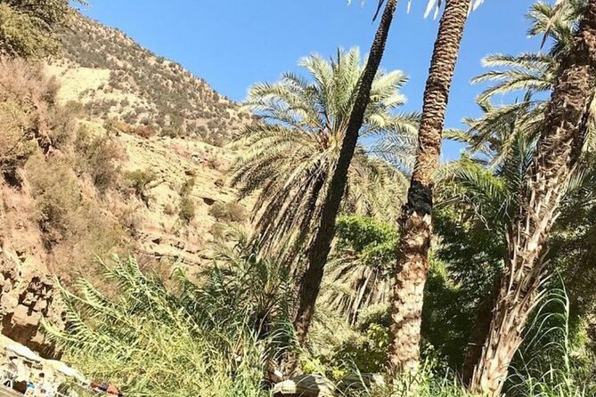 Agadir paradise valley and high atlas excursion - Paradise Valley and High Atlas in a 4 to 5 hour window