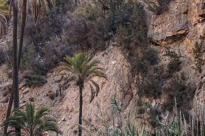 Agadir paradise valley and high atlas excursion - Booking timing and what to know before you go