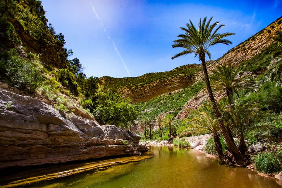 Agadir: Paradise Valley & Desert Sand Dunes with Camel Ride - Should You Book This Agadir Paradise Valley and Camel Tour?