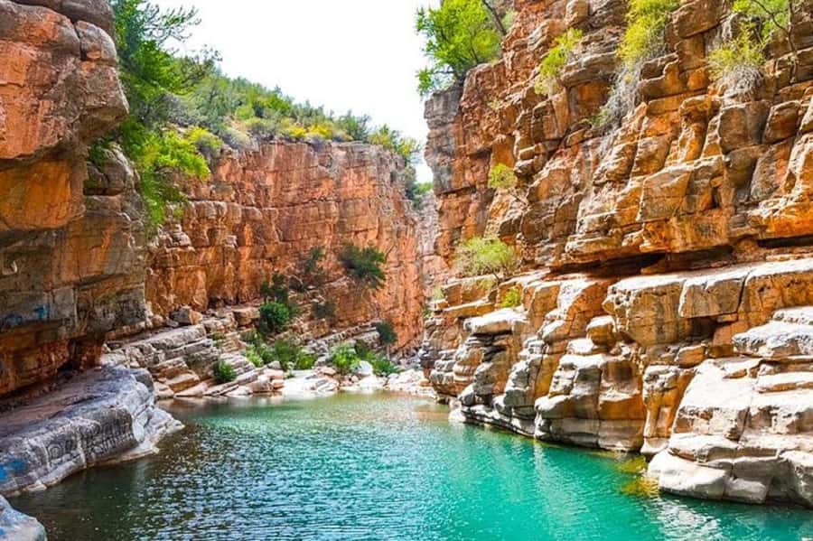 Agadir: Paradise Valley & Desert Sand Dunes with Camel Ride - Alma Botanical Garden and the Argan Oil Lesson